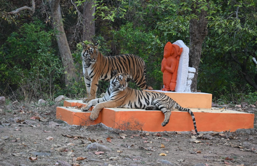 किंग छोटा मटकाचे 'डेडली बॉईज' 5 किंग छोटा मटकाचे 'डेडली बॉईज'