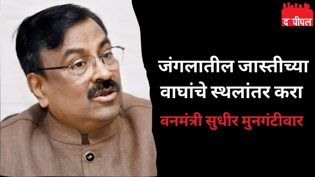 जंगलातील जास्तीच्या वाघांचे स्थलांतर करा -वनमंत्री सुधीर मुनगंटीवार